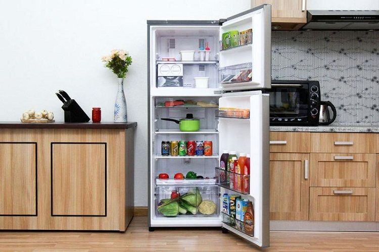 Tả một đồ vật trong nhà mà em yêu thích: Tả cái tủ lạnh