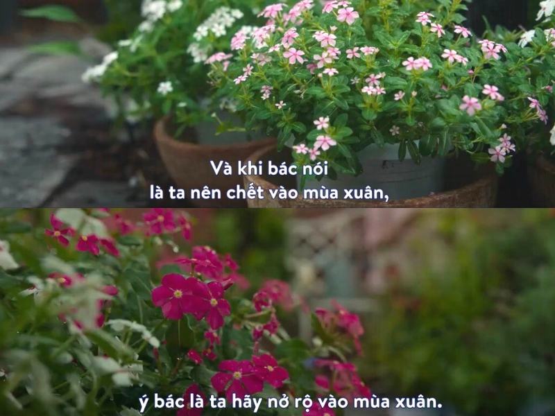 Ý nghĩa nhân văn của phim Vinh Quang |  Một hình ảnh từ bộ phim