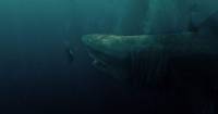 [REVIEW]                Cá Mập Siêu Bạo Chúa - Quái vật mang tên Megalodon
