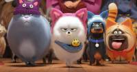 [REVIEW]                Cuộc Sống Bí Mật Của Thú Cưng 2 - The Secret Life of Pets 2