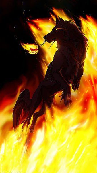 Một hình ảnh đẹp và mát mẻ của một con sói lửa