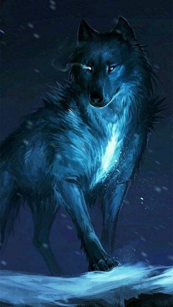 hình ảnh sói xanh