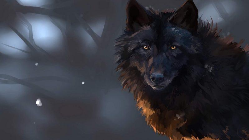 hình ảnh của một con sói màu tím trên đầu màu xám