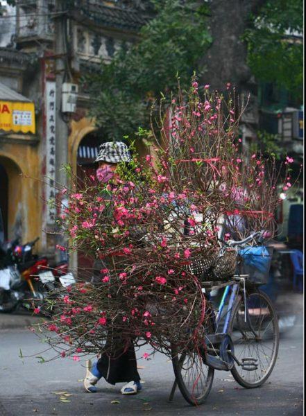 Hình ảnh Tết trên phố