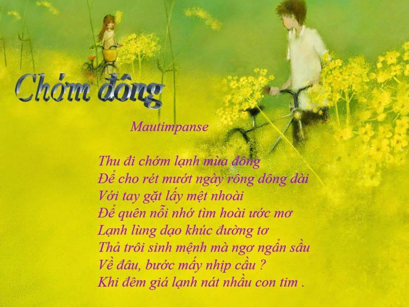 Hình ảnh đẹp đầu đông