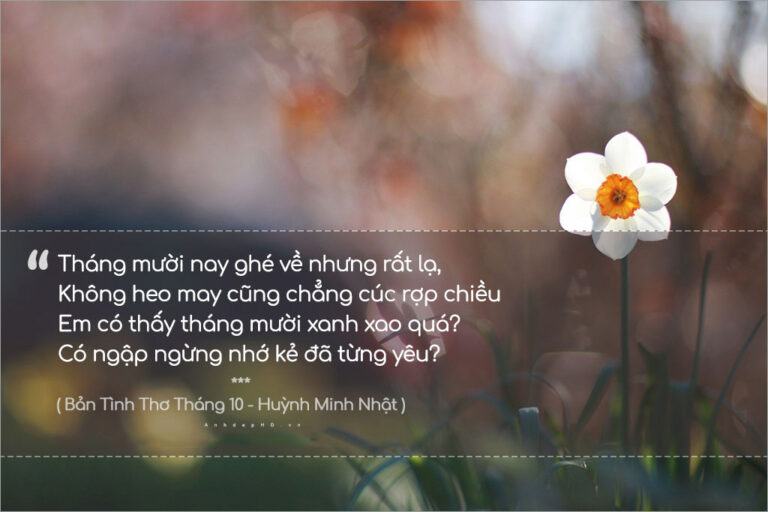 Ảnh thơ hay