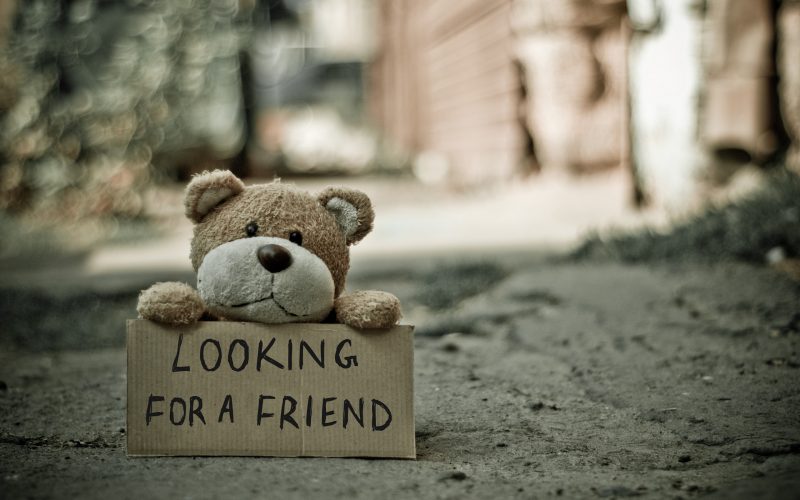 Một bức tranh buồn và đau lòng về một con gấu cô đơn