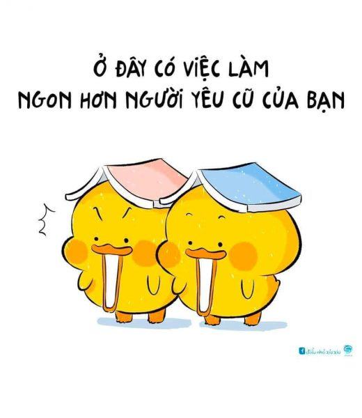 hình ảnh tuyển dụng hài hước