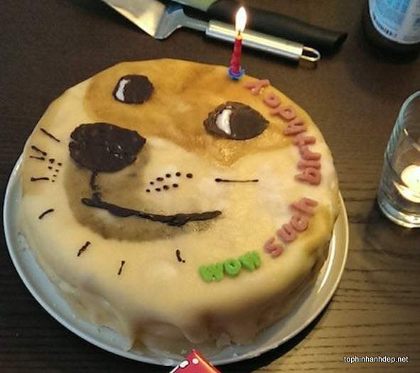 Bánh sinh nhật kỳ lạ và lầy lội với hình ảnh chú chó