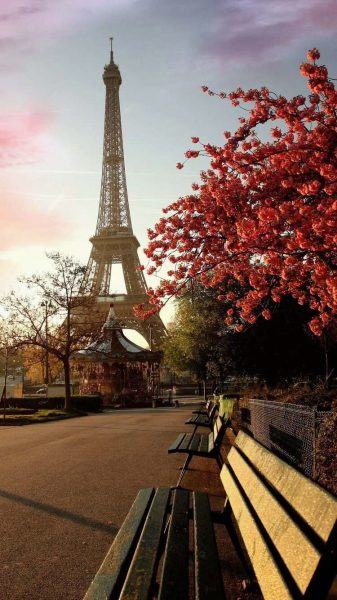 Hình ảnh tháp Eiffel với ghế gỗ