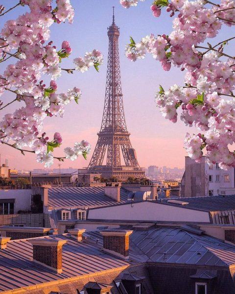 Hình ảnh tháp Eiffel đầy chất thơ