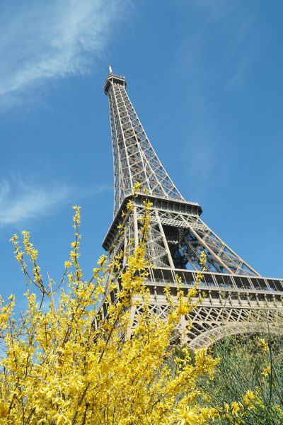 Hình ảnh tháp Eiffel lãng mạn