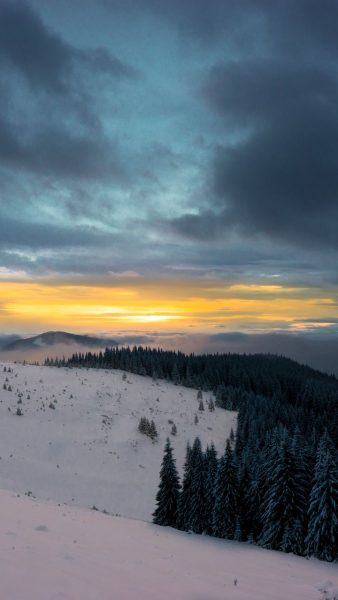 Hình ảnh mùa đông với núi thông xanh