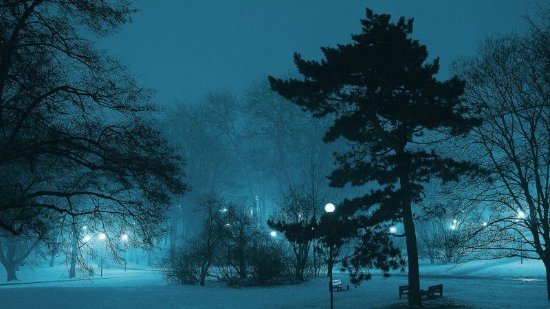 Hình ảnh mùa đông đẹp về đêm