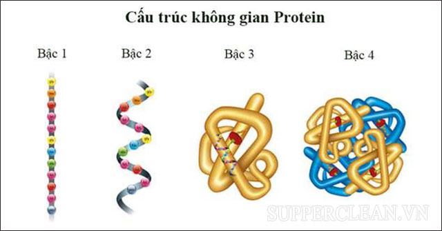 đạm là gì?