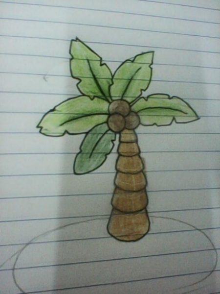 Vẽ cây dừa
