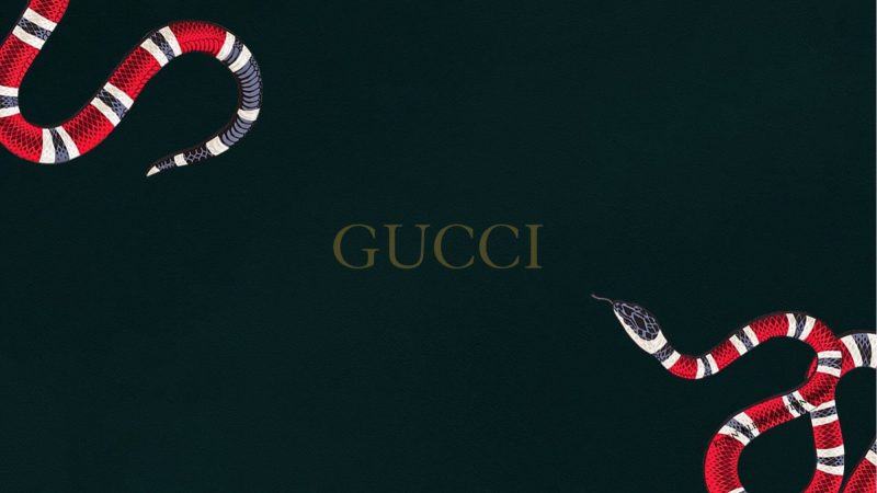 Ảnh Gucci trên máy tính