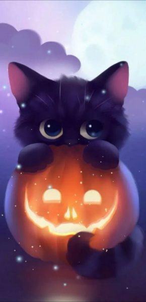 Hình ảnh halloween dễ thương, những chú mèo siêu đáng yêu