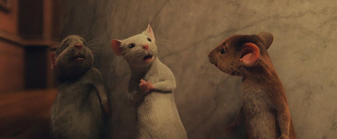 Chú chuột bị phù phép (Ảnh: Warner Bros.)