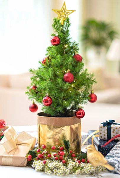 Hình ảnh cây thông noel nhỏ, rất thích hợp để đặt trên bàn