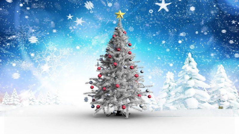 Một hình ảnh rất đẹp về cây thông Noel trong tuyết