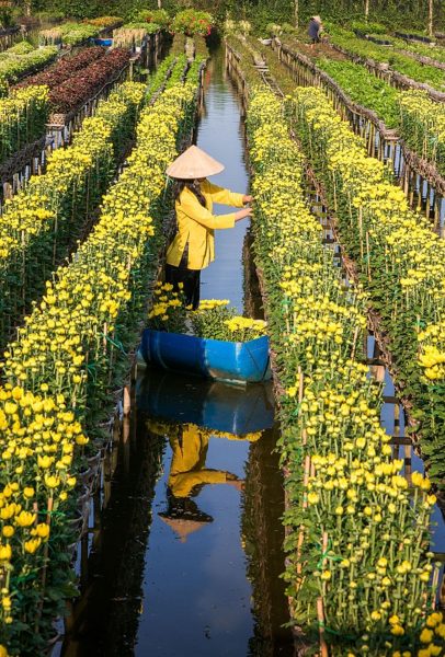 Tranh làng quê Việt Nam cô gái hái hoa bên sông