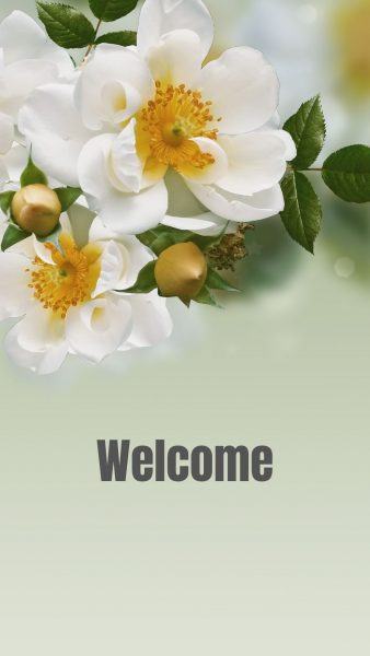 Ảnh welcome làm hình nền điện thoại