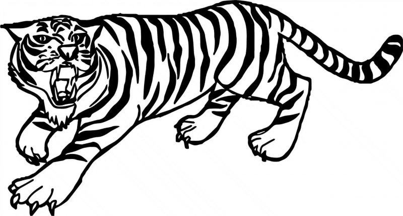 Phim hoạt hình về một con hổ sắp nhảy