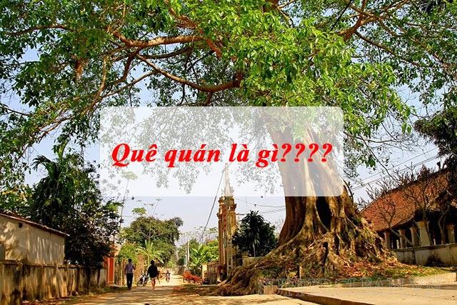 Có gì ở quê hương của họ?