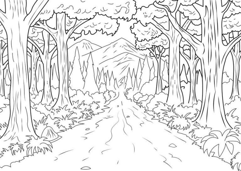 Một bản phác thảo của một con đường dẫn đến một khu rừng