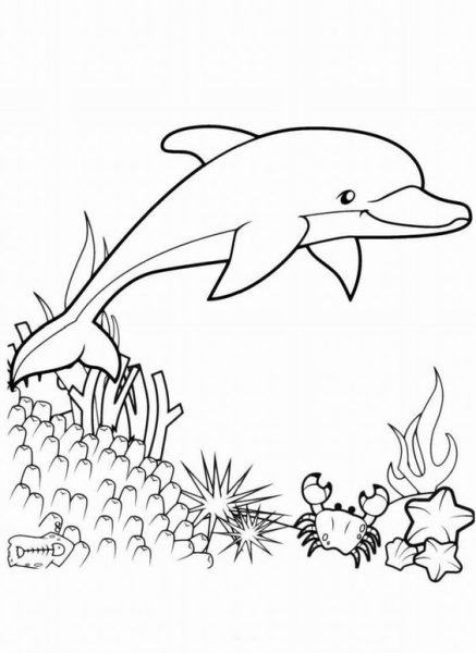 Một bản vẽ đẹp của một con cá heo