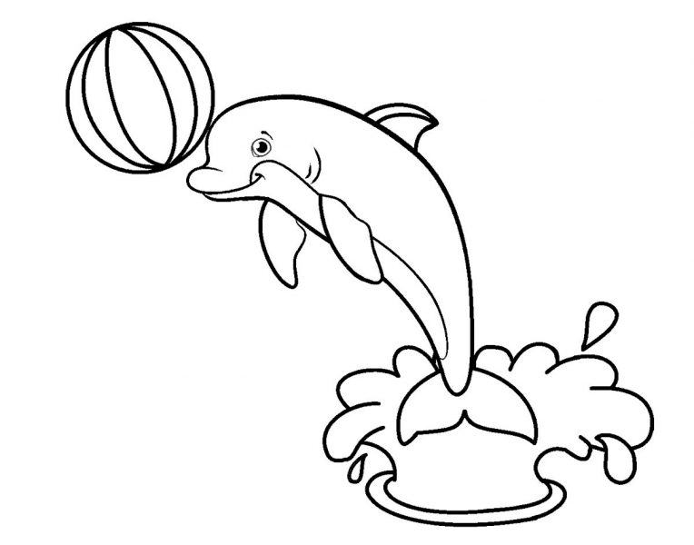 Phim hoạt hình về một chú cá heo chơi với một quả bóng