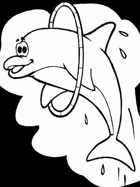 Một hình minh họa phim hoạt hình của một con cá heo tròn