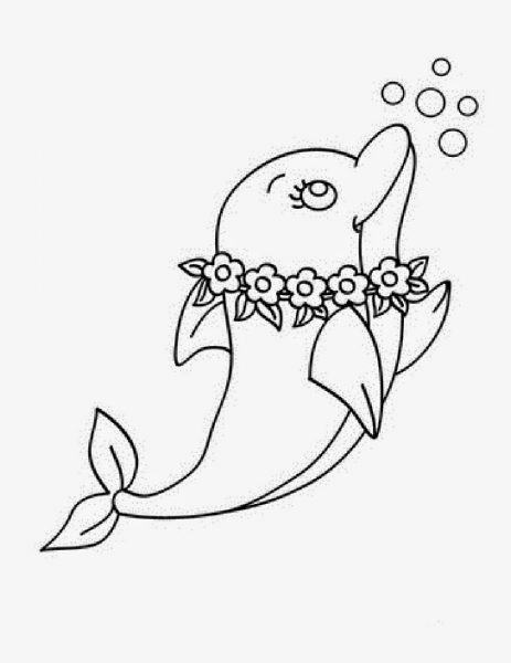 Phim hoạt hình cá heo đội vòng hoa