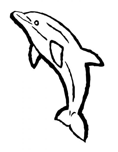 Một trang vẽ cá heo đơn giản