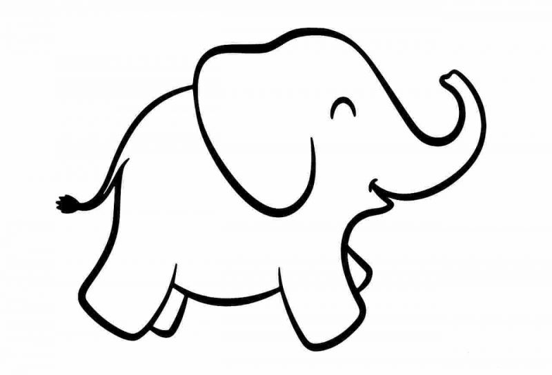 Vẽ con voi đơn giản