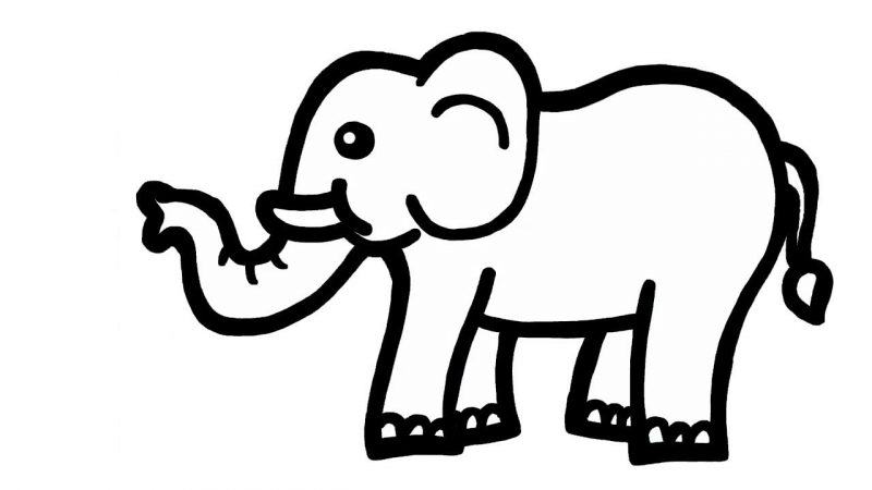 Vẽ con voi có vòi dài