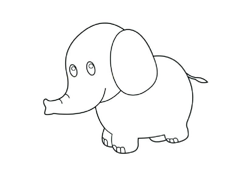 Phim hoạt hình chú voi con ở bản Đôn