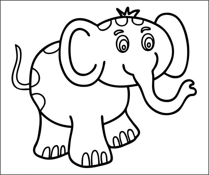 Hướng dẫn cách vẽ CON VOI tô màu CON VOI  How to draw an elephant   YouTube