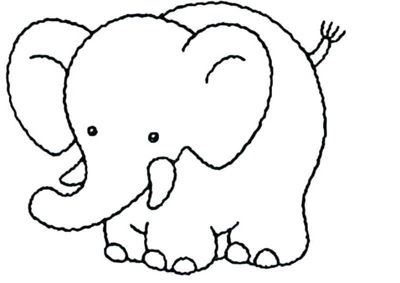 Vẽ con voi đang lớn