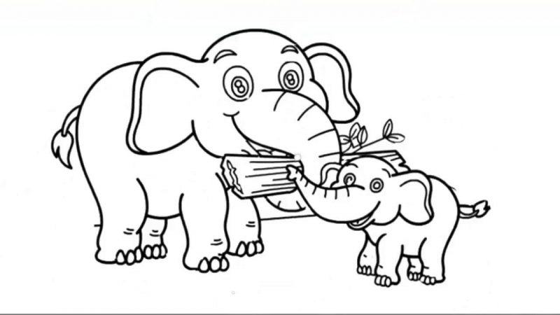 Phim hoạt hình voi mẹ và voi con