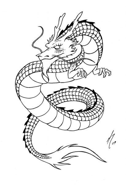 Một bản vẽ của một con rồng cuộn tròn