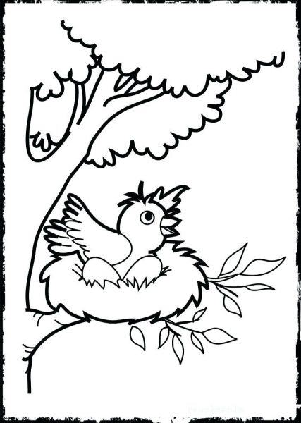Bản Vẽ Vector Của Nhánh Cây Phác Thảo Với Tổ Chim Với Ba Quả Trứng Màu