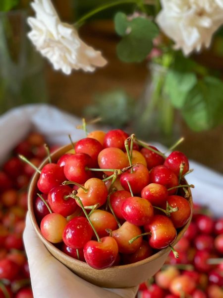 Hình Ảnh Cherry Vàng Mỹ