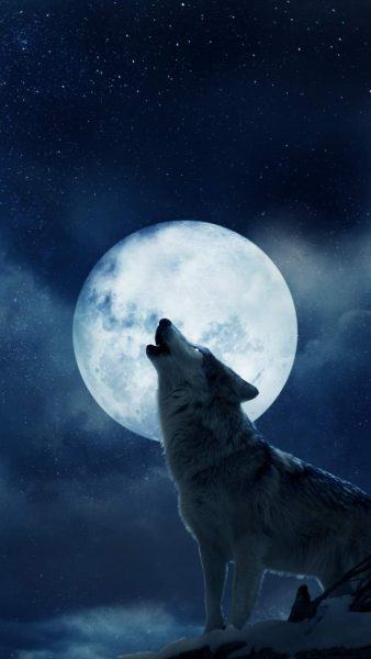 Một bức tranh về mặt trăng và một con sói