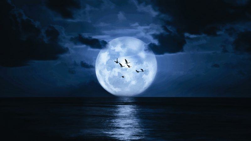 ảnh đẹp trăng trên biển