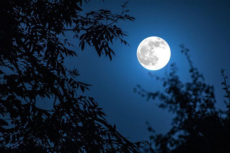 hình ảnh đêm trăng