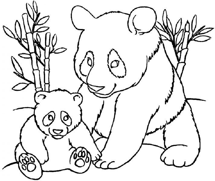 Phim hoạt hình gấu mẹ và đàn con