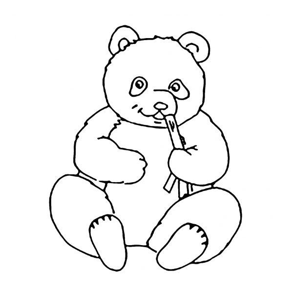 phim hoạt hình gấu ăn tre