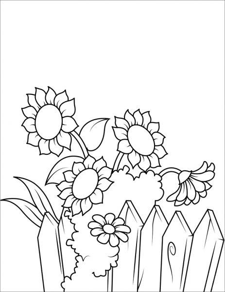 Vẽ cánh đồng hoa hướng dương đơn giản